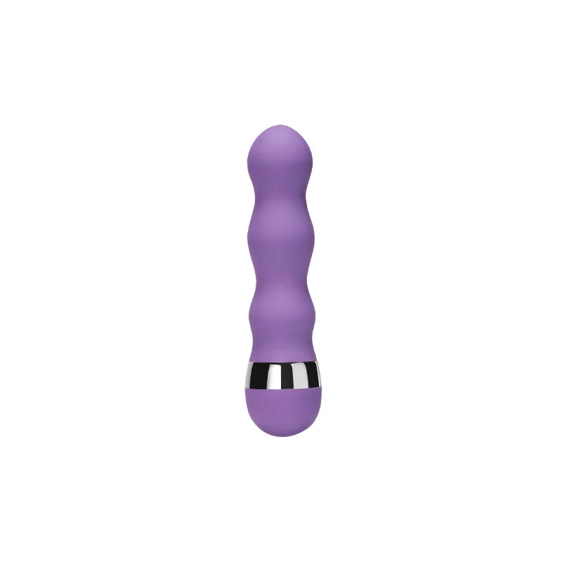 Portable Dildo Vibrator Sex Toys for Women