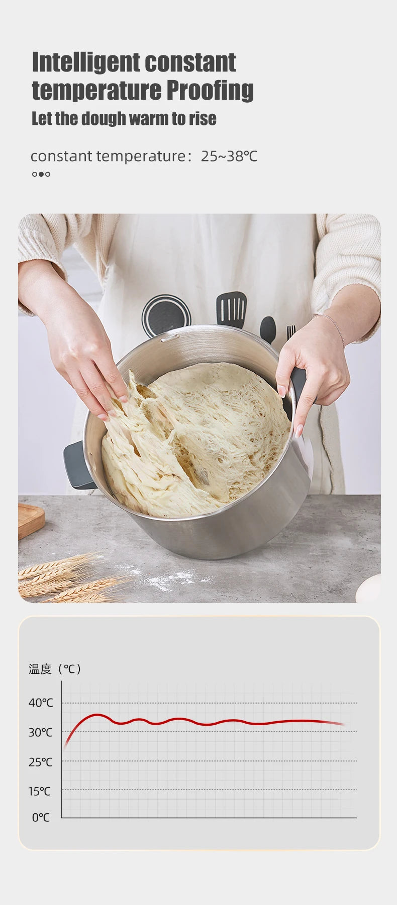 Electric Dough Mixer