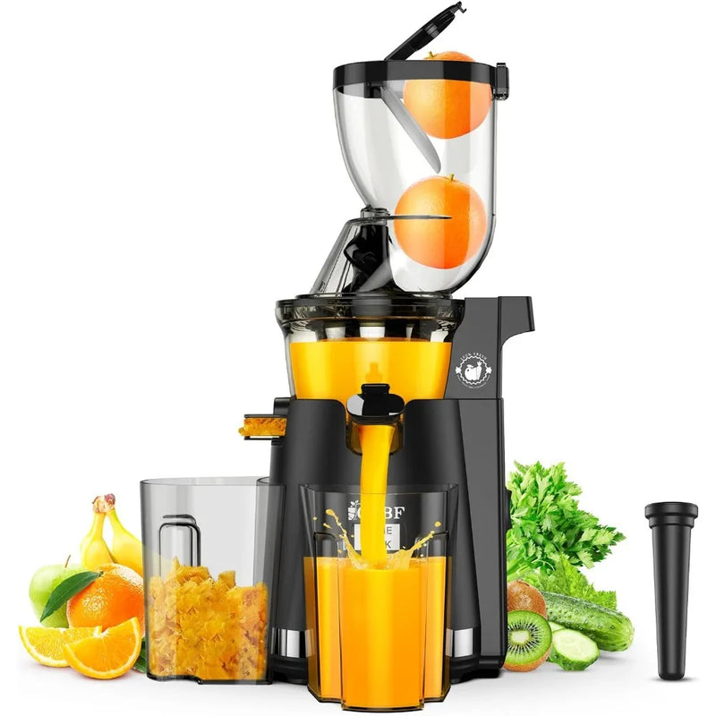 300W Cold Press Juicer Machines